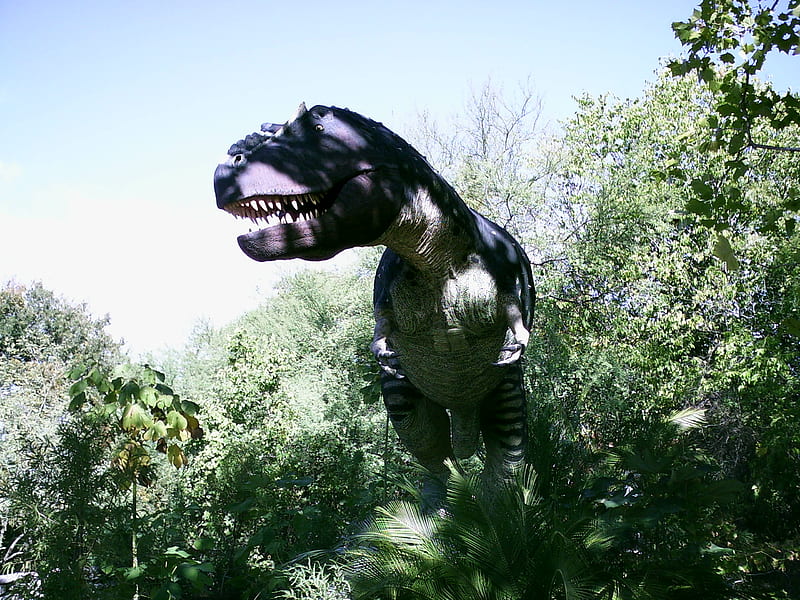 San Antonio T-Rex, power lunch, t-rex, glad he is extinct, bad boy, better run, HD wallpaper