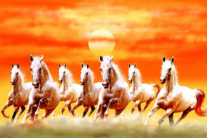 Sunset Horses, sun, sky, gallopping, herd, colors, HD wallpaper
