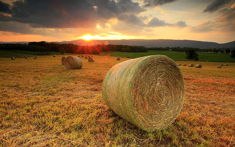 Summer Sunset, Shenandoah, Valley Virginia, sun, nature, sunset, clouds, sky, field, HD wallpaper