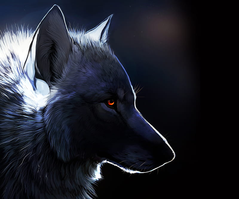 Dark Wolf, animal, black, dark, galaxy, white, wolf, HD wallpaper
