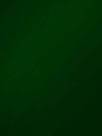 HD solid green color wallpapers | Peakpx