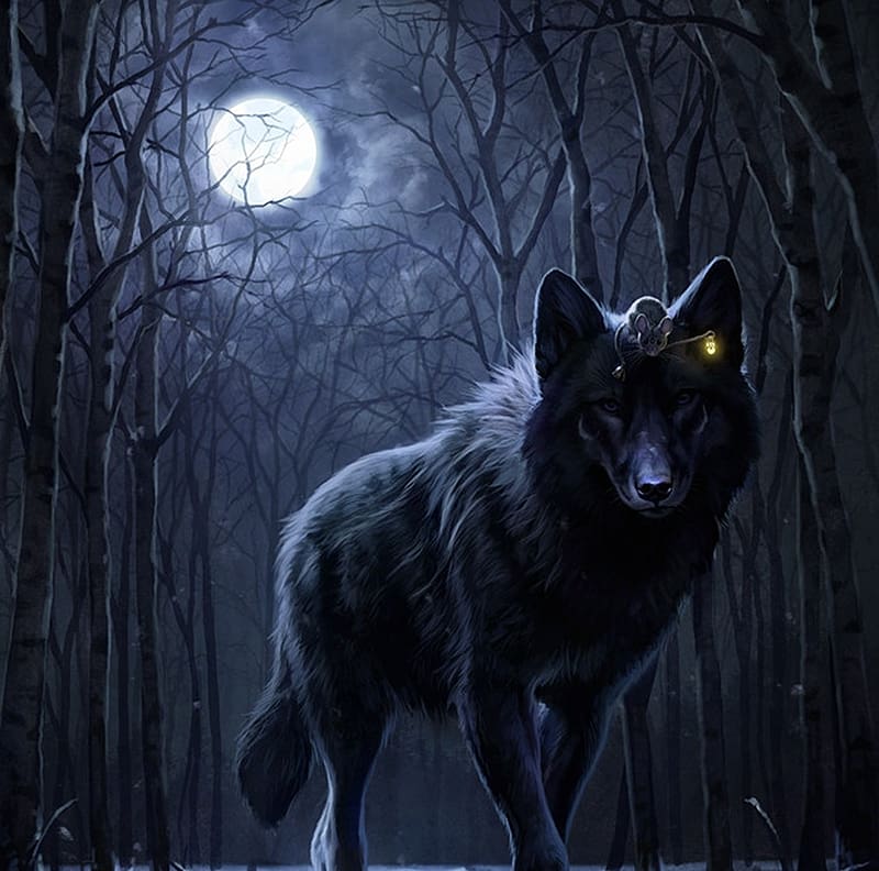 Moonlight, night, winter, art, cute, wolf, dark, mouse, moon, iarna, snow, luna, lantern, fantast, forest, lup, johanna tarkela, HD wallpaper