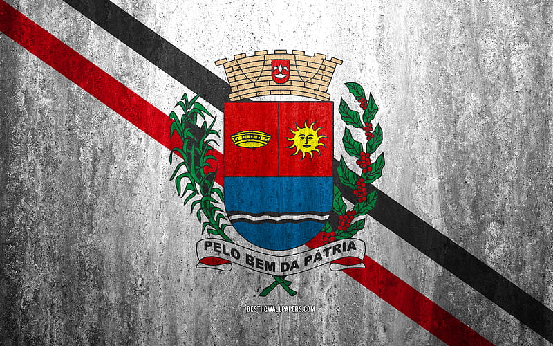 Flag of Araras stone background, Brazilian city, grunge flag, Araras, Brazil, Araras flag, grunge art, stone texture, flags of brazilian cities, HD wallpaper
