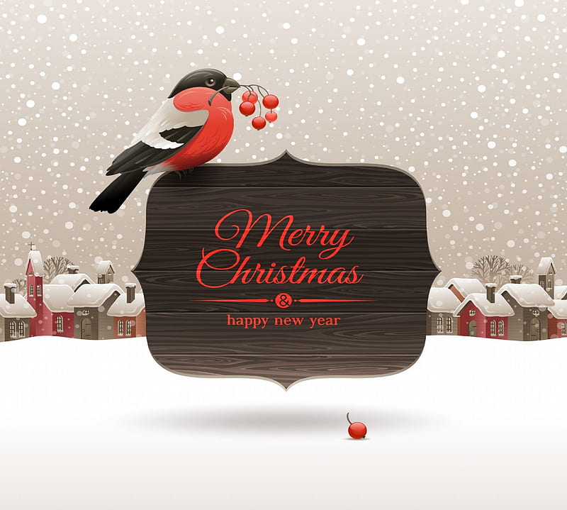 ✰Merry Christmas Bird✰, cottages, gardening, digital art, seasons, xmas and new year, greetings, paintings, gathering, flowers, drawings, animals, vector art, meeting, christmas, creative pre-mas, love four seasons, birds, creative pre-made, butterflies, spring, winter, bird, snow, berries, winter holidays, birdhouse, weird things people wear, nature, cats, dogs, celebrations, HD wallpaper