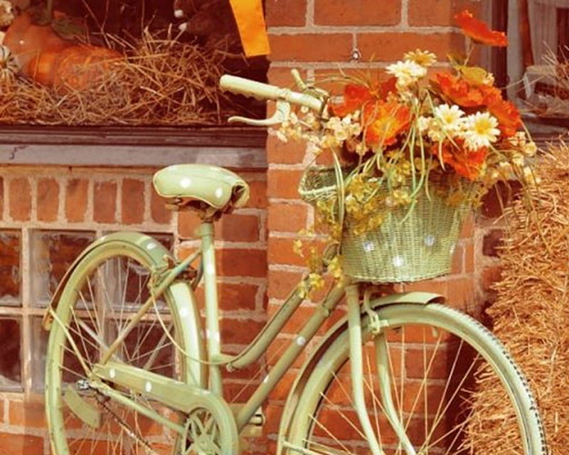 autumn idyll, autumn, basket, flower, bicycle, straw, HD wallpaper