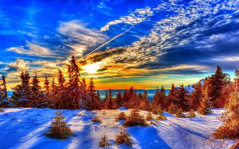 Winter Sundown, snow, nature, sunset, trees, clouds, winter, HD wallpaper |  Peakpx