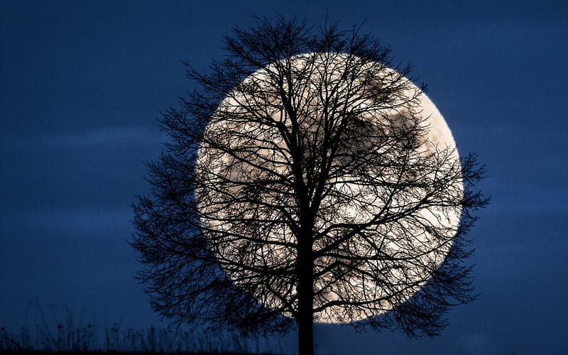 Nếu bạn yêu thích trăng tròn và muốn có một bức hình nền đầy mê hoặc, hãy đến với chúng tôi để được chiêm ngưỡng bức ảnh full moon wallpaper đẹp tuyệt vời. Bạn sẽ không thất vọng với nó đâu!