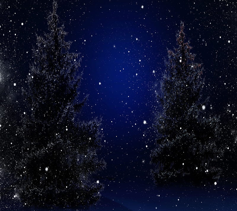 Winter Night, HD wallpaper | Peakpx