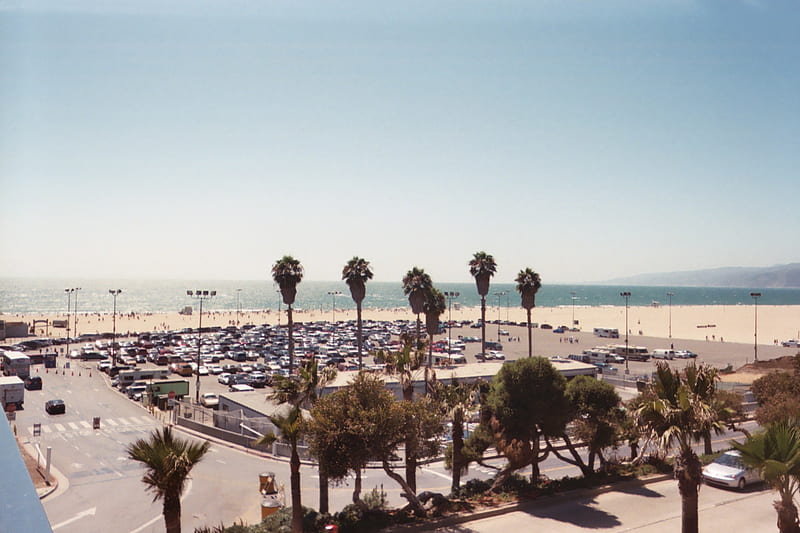 Santa Monica Beach, beach, santa monica, palm tree, ocean, HD wallpaper