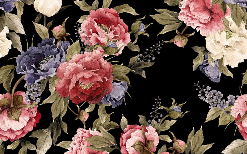 retro texture with flowers, black background with flowers, peonies texture, retro floral background, HD wallpaper