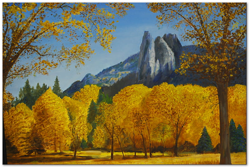 Trees Of Gold, autumn, mountains, boulders, golden, cooler, trees, HD wallpaper