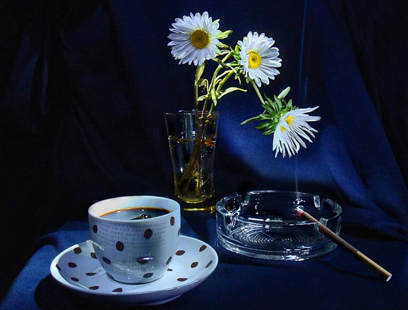 Coffee, autumn, saucer, aroma, cigarette, still life, drink, araoma, blue, three, black, abstract, daisies, ashtray, cup, flower, flavor, white, HD wallpaper