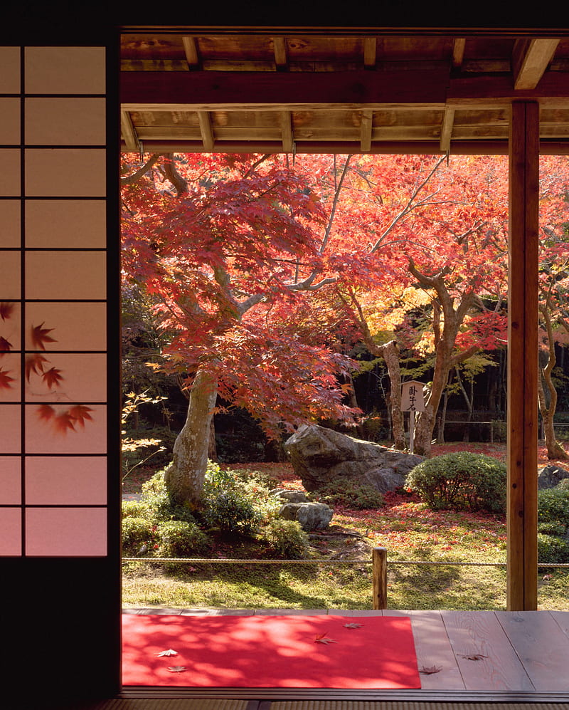 japan, architecture, portrait display, HD phone wallpaper