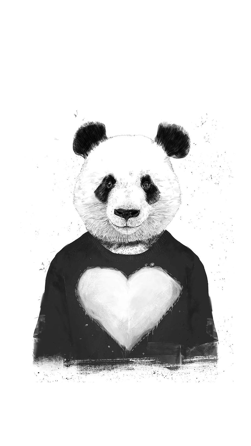Panda, bears, alone, bear, HD phone wallpaper