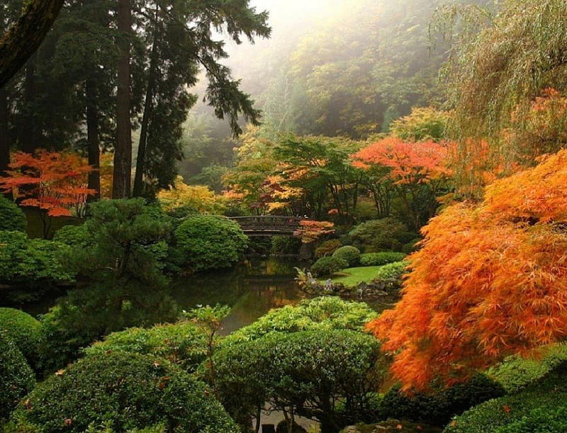 Japanese Garden in Autumn, autumn, nature, graphy, japanese garden, HD wallpaper