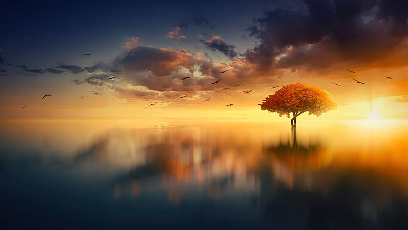 :-), cloud, fantasy, water, tree, orange, luminos, johannes plenio, reflection, sky, HD wallpaper