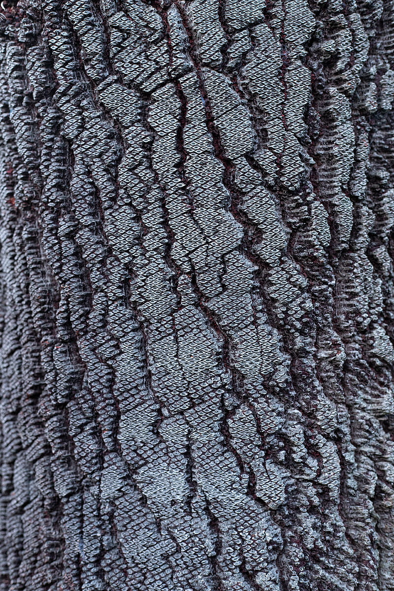 bark, tree, pattern, texture, HD phone wallpaper