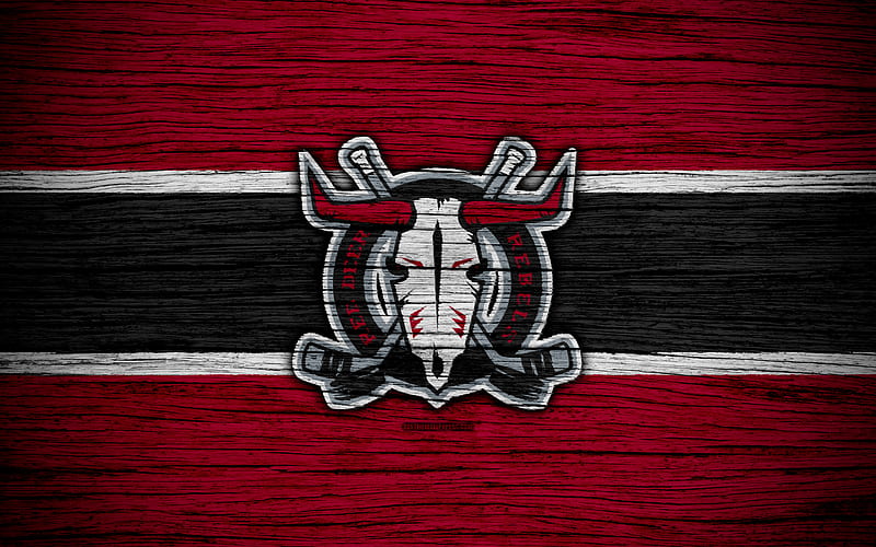 Red Deer Rebels, logo, WHL, hockey, Canada, emblem, wooden texture, Western Hockey League, HD wallpaper