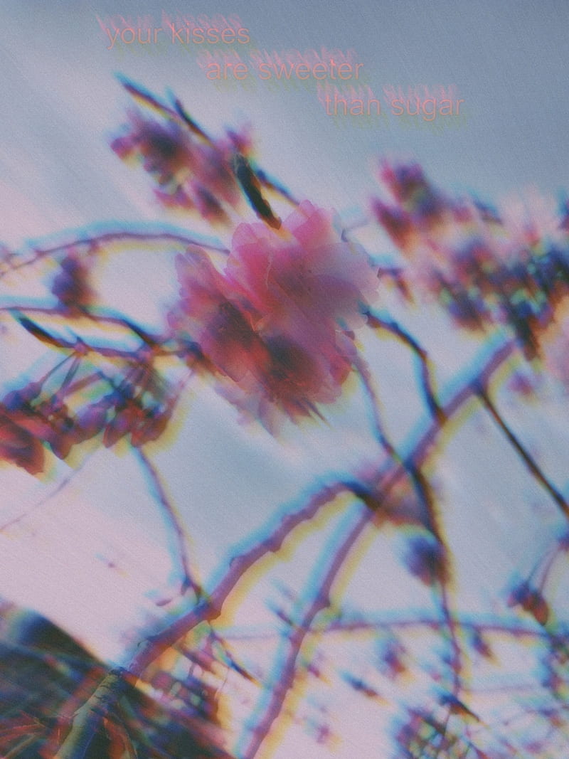 Flowers, bonito, glitch, life, HD phone wallpaper | Peakpx