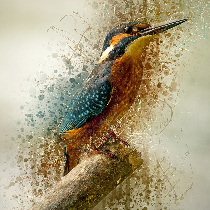 Art Kingfisher, birds, fishing, HD phone wallpaper | Peakpx