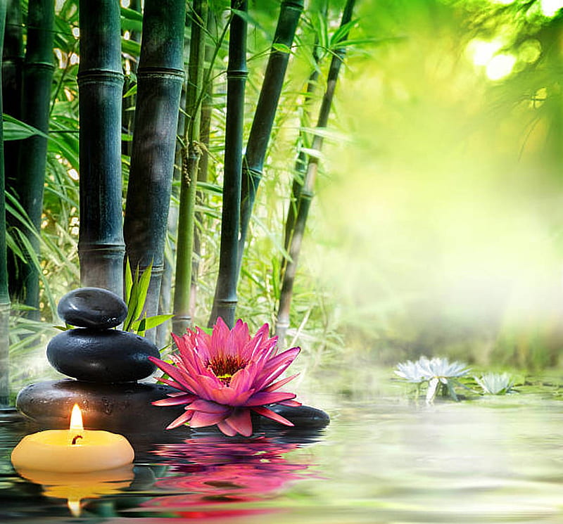 Zen Garden, Lotus, Stones, Bamboo, Candle, HD wallpaper