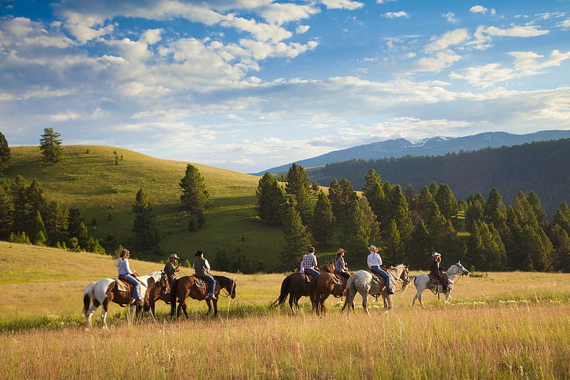 The Posse.., female, male, hats, cowgirl, boots, ranch, fun, outdoors, women, horses, brunettes, girls, blondes, western, style, cowboys, HD wallpaper