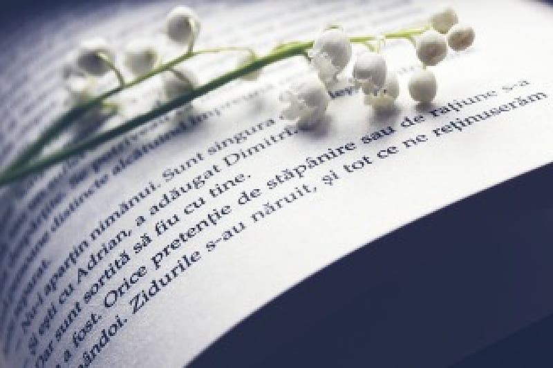 But I was Meant for you, book, flowers, white, abstract, HD wallpaper