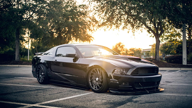 Ford Mustang Shellby, supercars, low rider, tuning, parking, black Mustang, Ford, HD wallpaper