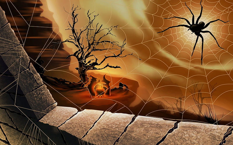 Witches And The Spider, window, holiday, cg, halloween, witches, black, abstract, spider, fire, tree, spiderweb, black spider, 3d, web, caldron, night, HD wallpaper