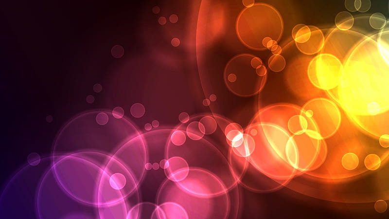 Night Light Swirls, shapes, multicolor, circles, graphics, swirls, vector, HD wallpaper