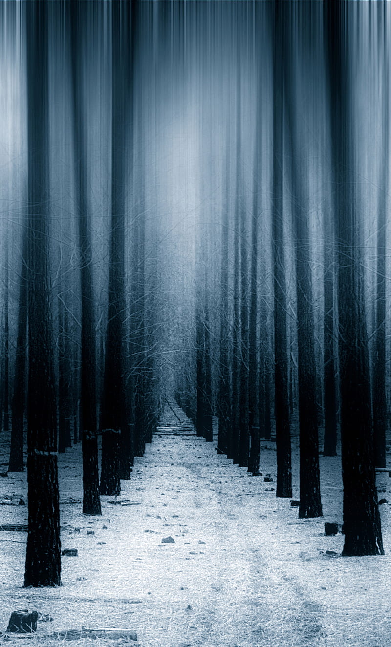 Dark Forest Woods Snow Winter iPhone , , Background, and, Black Forest Winter, HD phone wallpaper