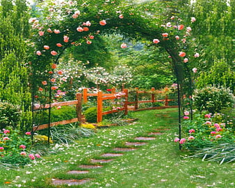 Most beautiful flowers garden HD wallpapers | Pxfuel