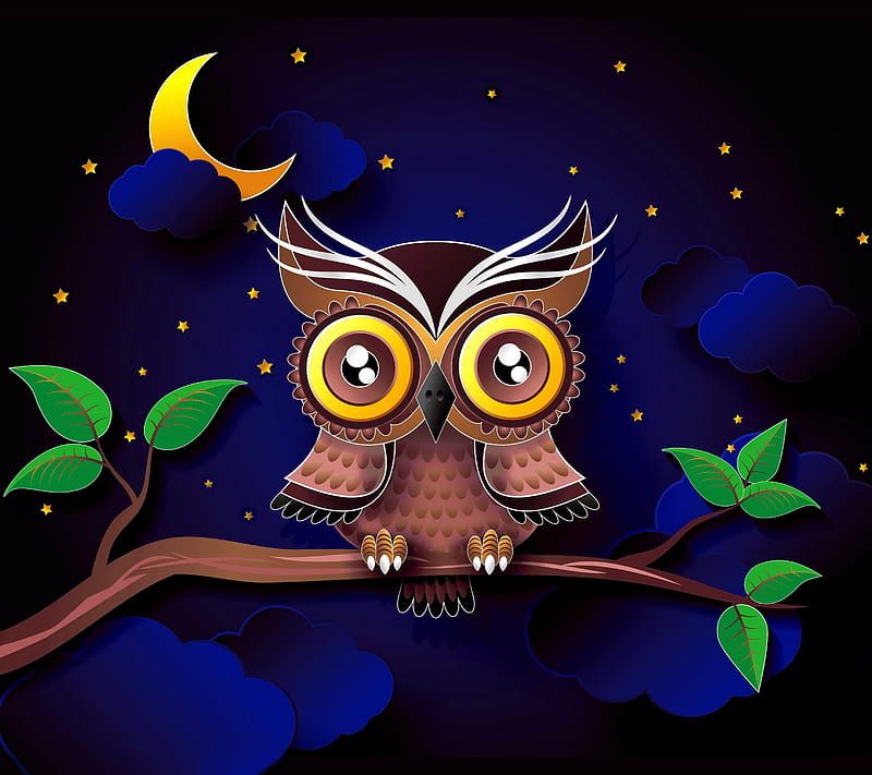 Cute Owl, branch, clouds, night, stars, HD wallpaper