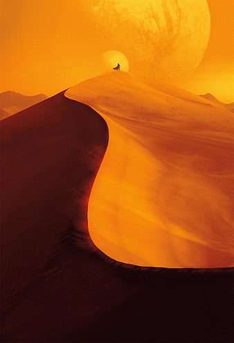 100 Dune Movie Wallpapers  Wallpaperscom