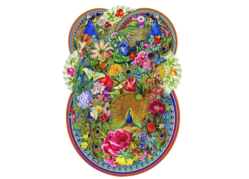 vara, bird, paun, summer, flower, peacock, pasari, pink, blue, HD wallpaper