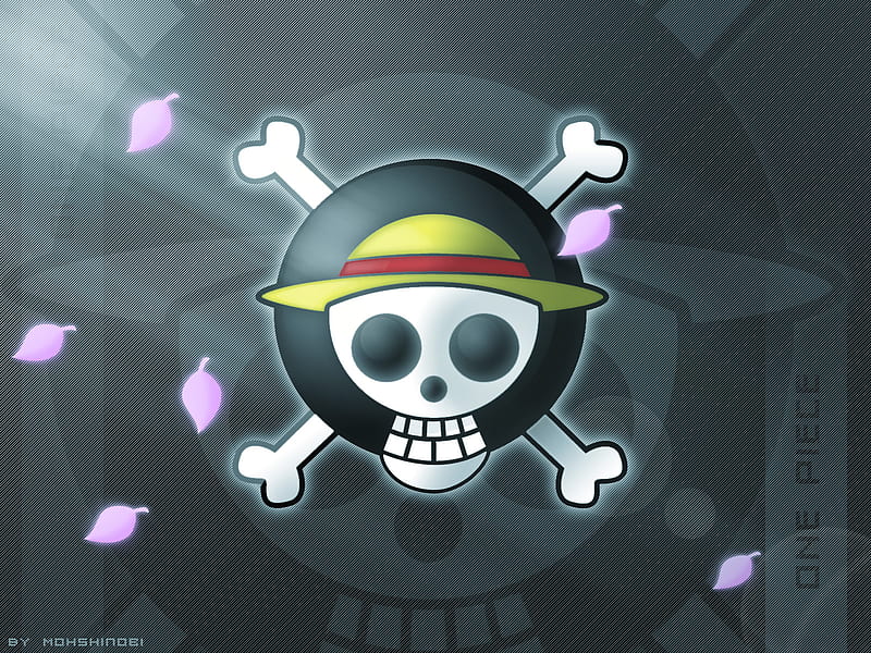 One Piece Flag Wallpapers  Wallpaper Cave