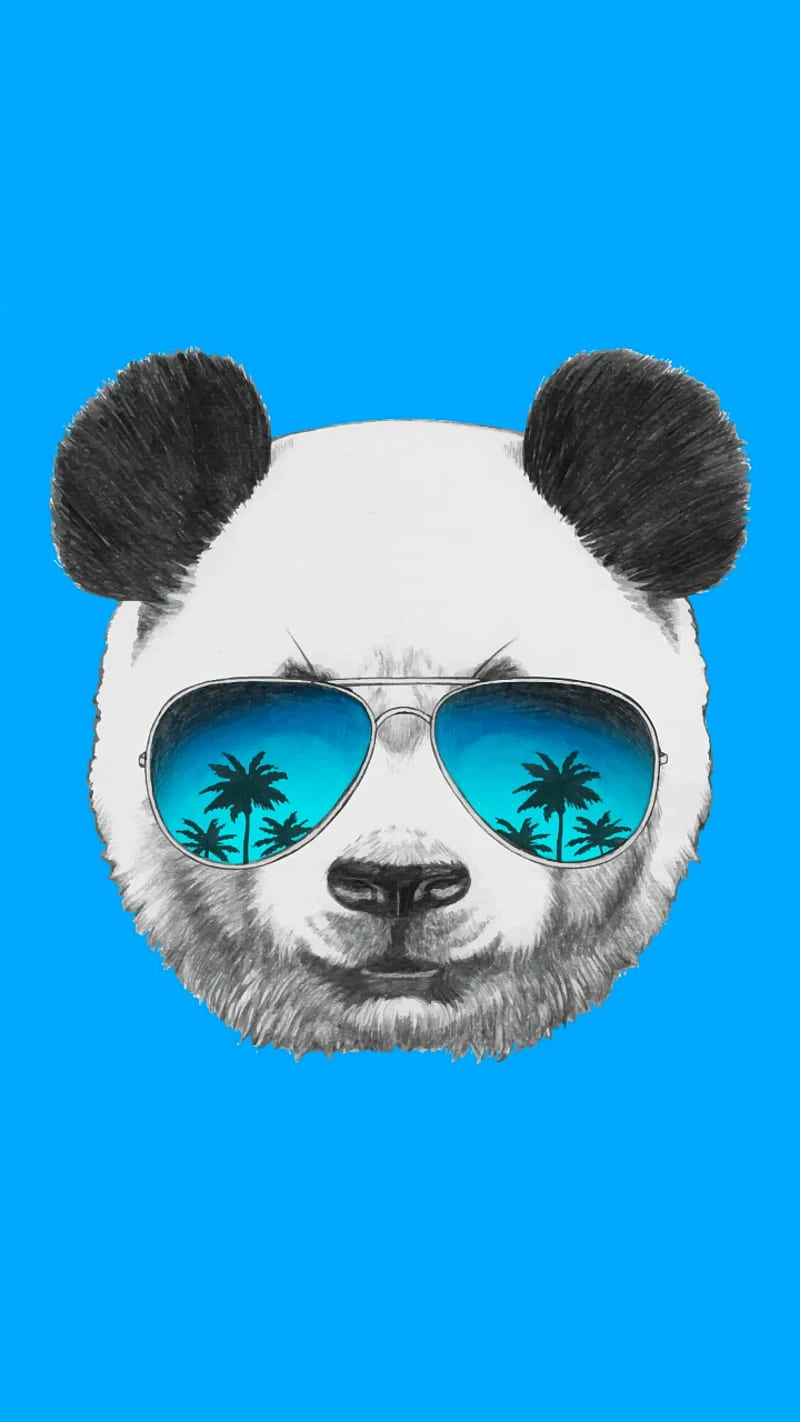 Panda, beard, glasses, HD phone wallpaper