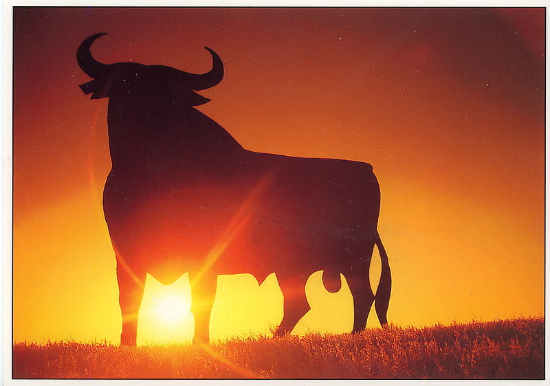 Osborne Bull At Sunset, osborne, sunset, bull, spain, HD wallpaper