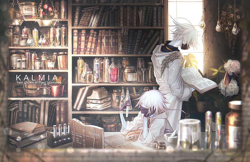 anime boys, Laboratory, books, white hair, Anime, HD wallpaper