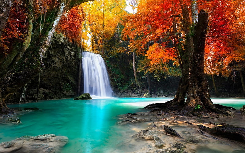 Colorful trees, Tropical, Waterfalls, Trees, Nature, HD wallpaper | Peakpx
