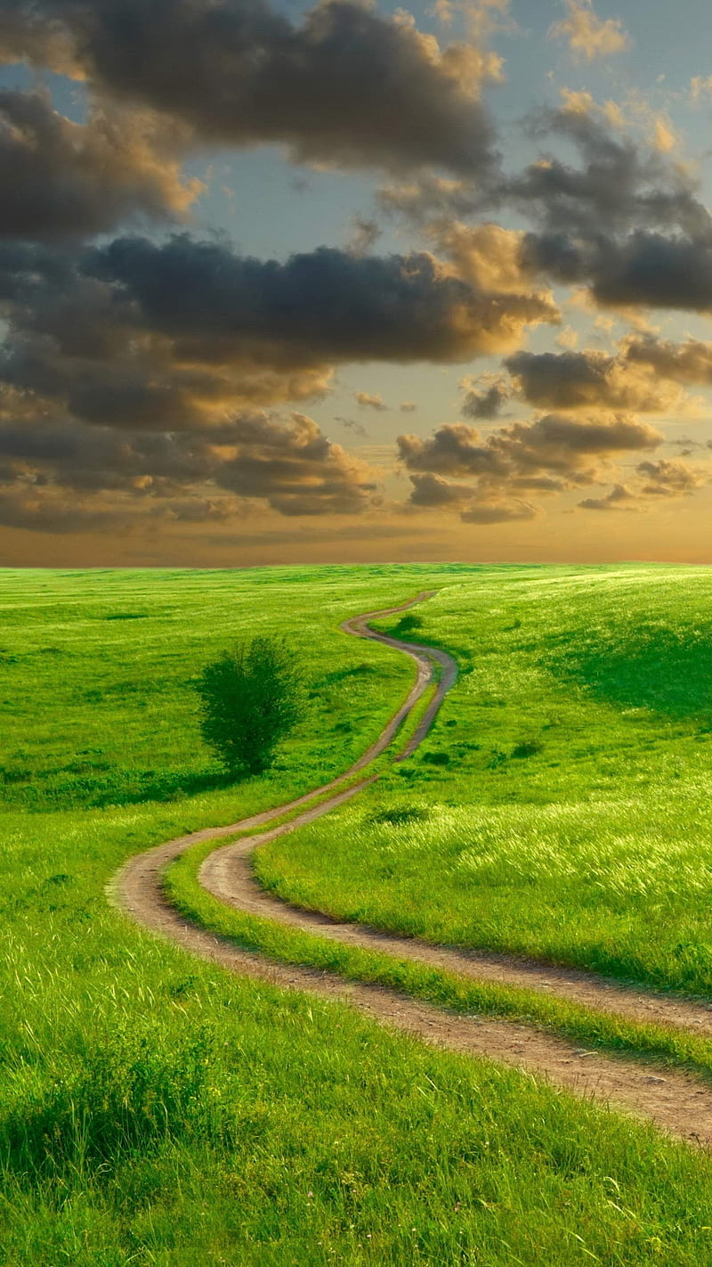 Path, clouds, field, grass, landscape, nature, sky, HD phone wallpaper