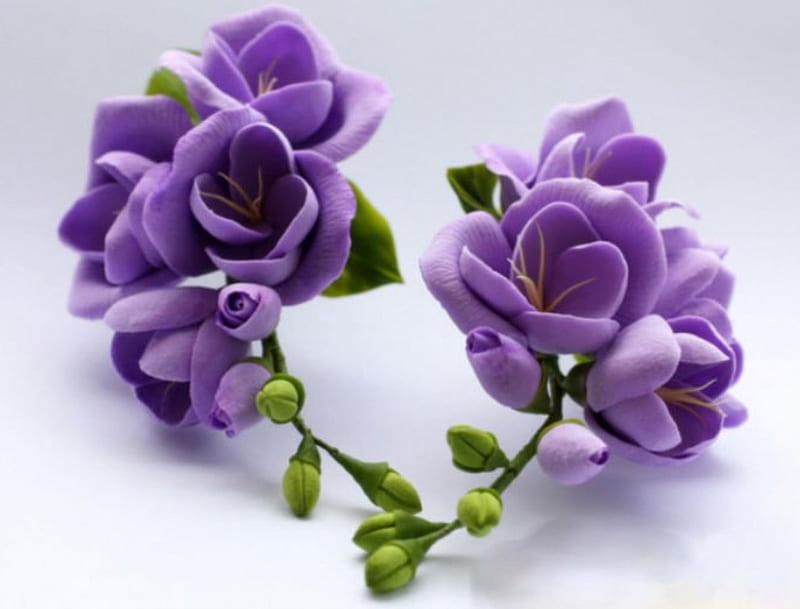 Spring Mood, purple, flowers, nature, spring, mood, HD wallpaper