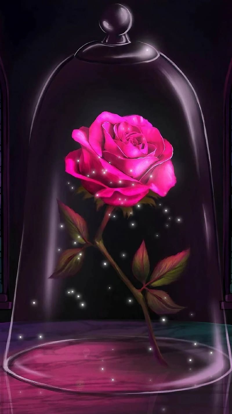 Gulab Ke Phool Wale, Glass Dome With Rose, rose kept inside the glass, flower, HD phone wallpaper