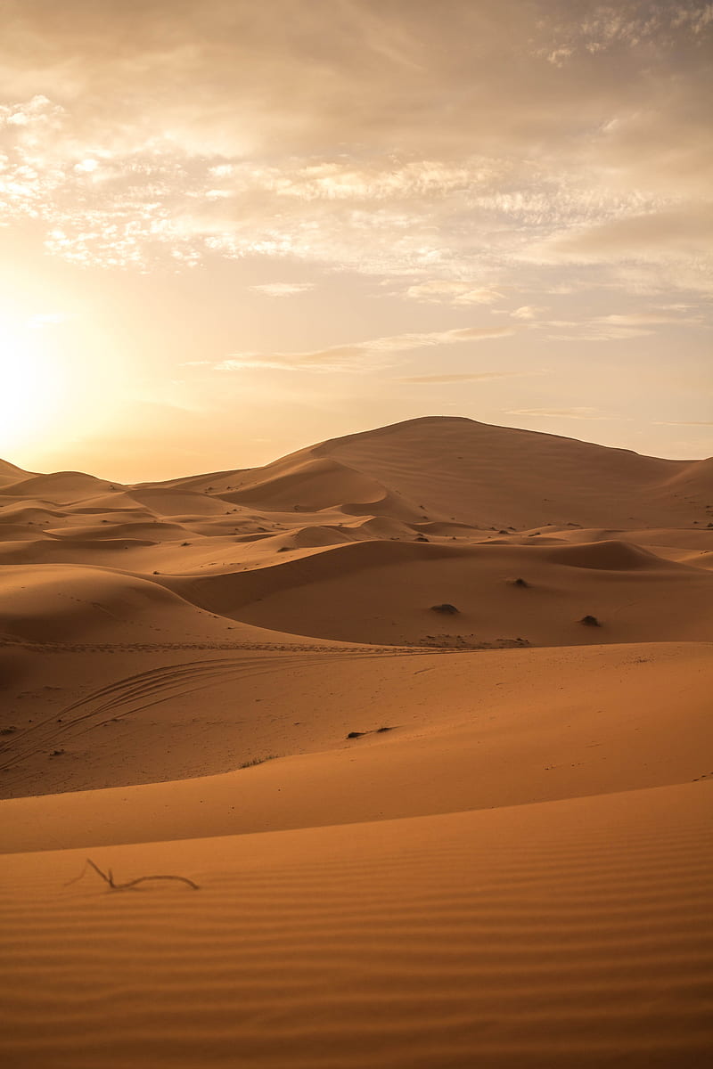 desert, sand, dunes, horizon, HD phone wallpaper
