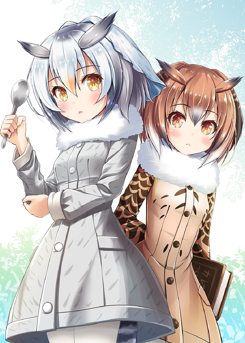 Owl Anime Brown Hair Eurasian Eagle Owl Kemono Friends Northern White Faced Owl Hd Phone