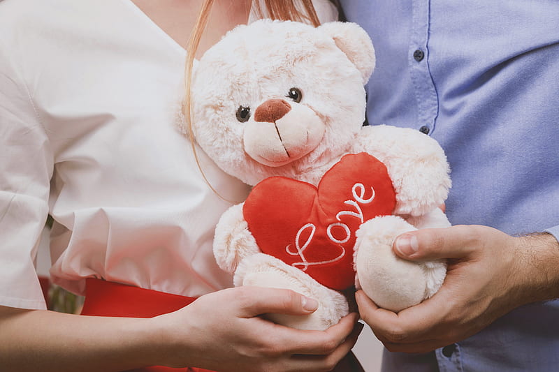 couple holding white bear plush toy, HD wallpaper