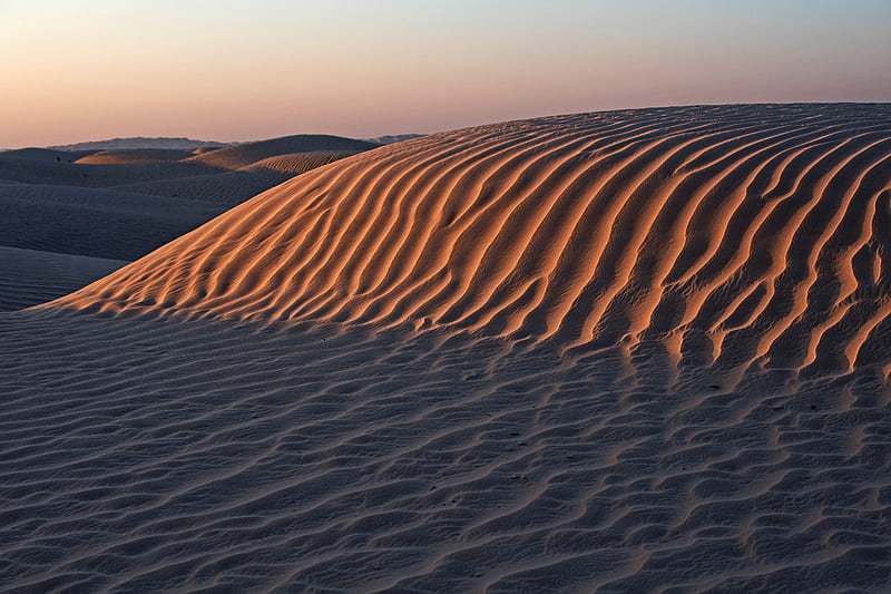 desert, sand, dunes, hills, landscape, HD wallpaper