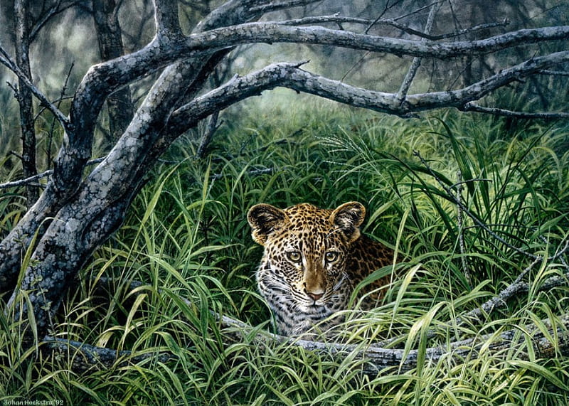 CONCEALED, CUB, LEOPARD, GRASS, PAINTING, HD wallpaper