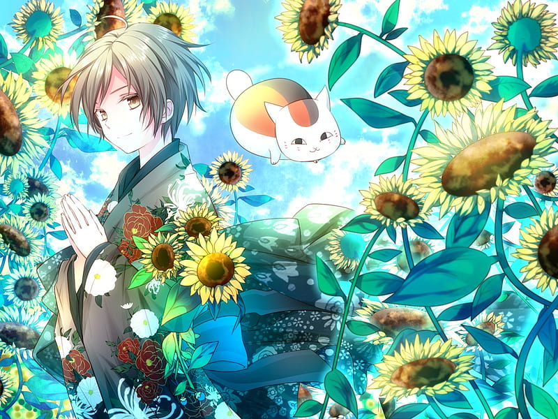 Natsume Yuujinchou, boy, neko, anime, flowers, sunflower, kimono, cat, HD wallpaper