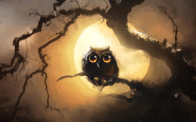 Owl at night, wildlife, moon, night, predatory bird, Owl, Strigiformes, HD wallpaper